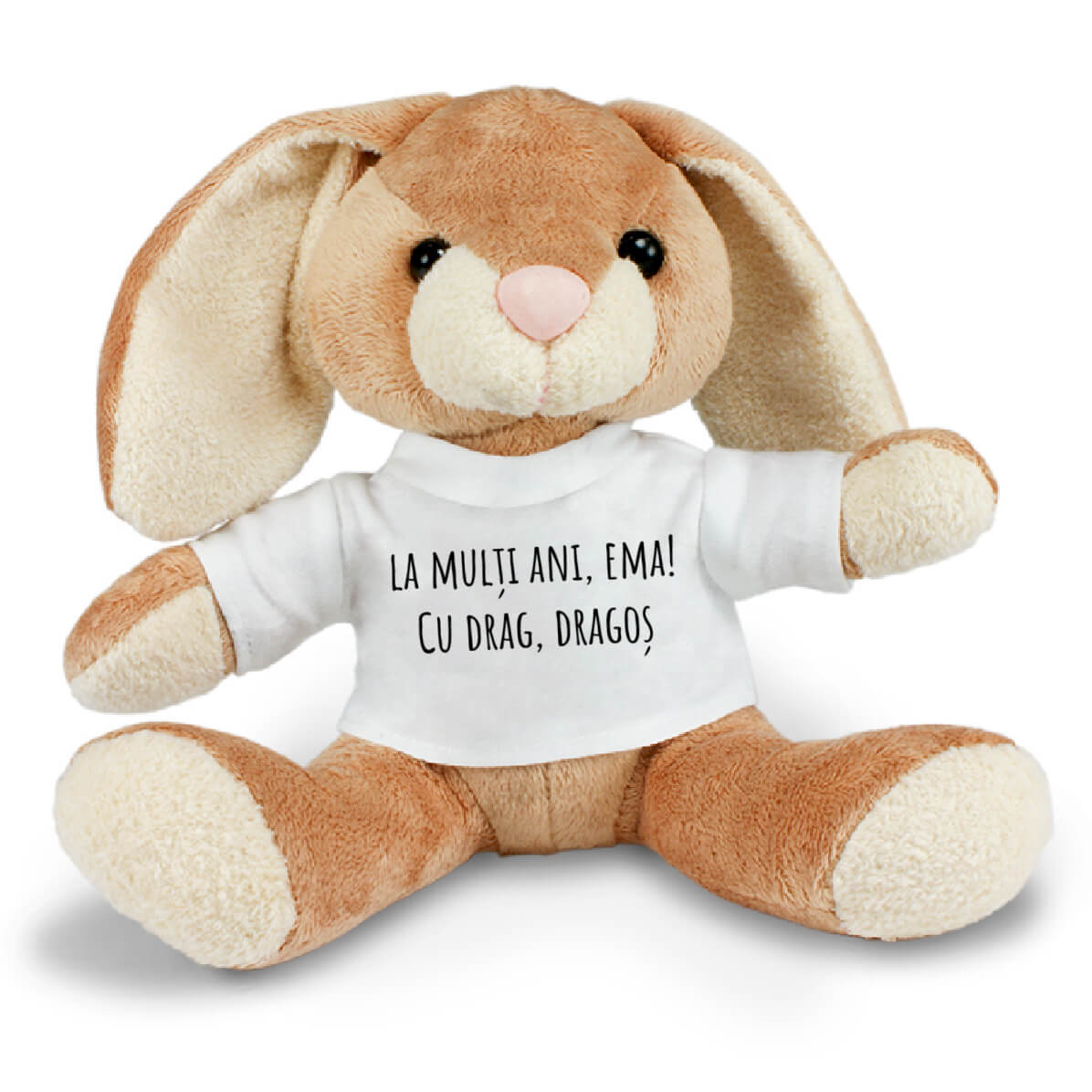 Iepuras de plus personalizat cu mesaj - Revelarta.ro